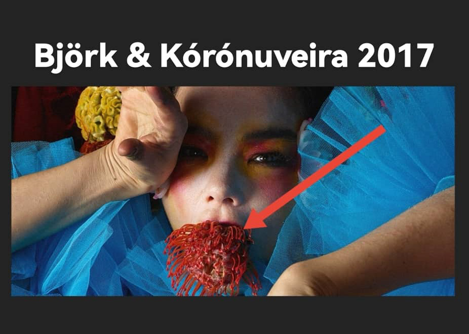 Hvað skyldi Ging Glóbalistinn Björk eiga mikið í mRNA bóluefnunum sem eiga að breyta mannfólkinu í Transhumans?