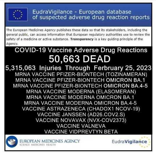 EudraVigilance reporting 50,663 fatalities, and 5,315,063 injuries following injections of EMA-authorized experimental COVID-19 shots as of February 25, 2023.
