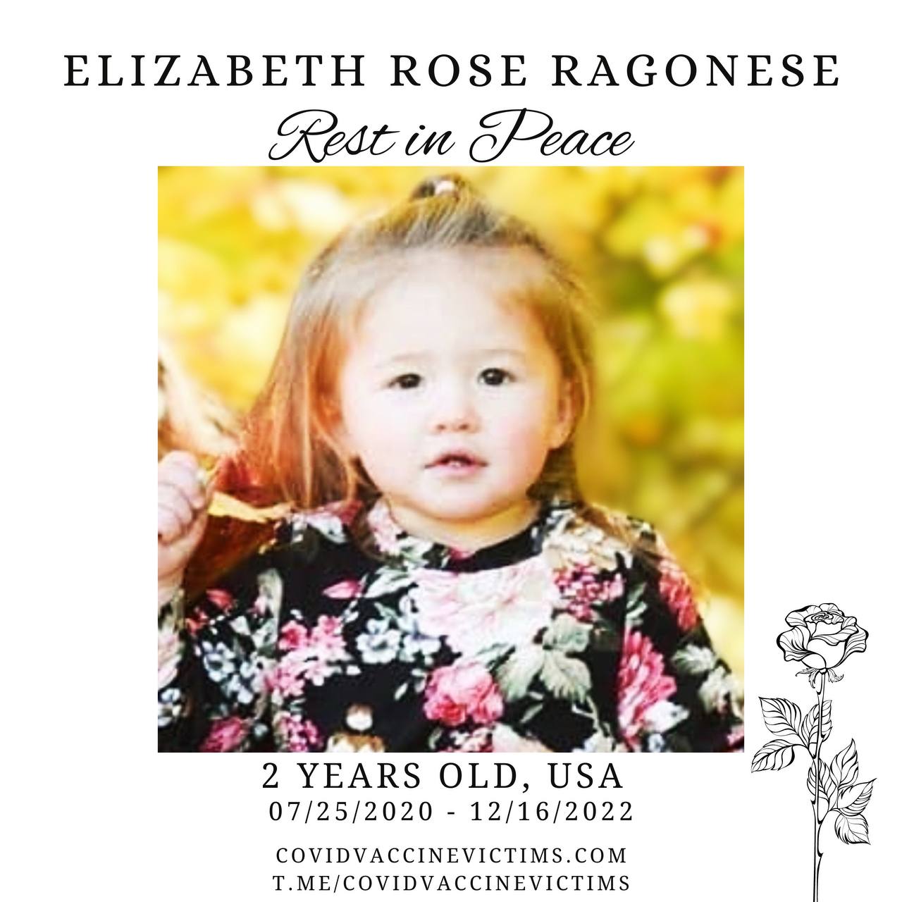 Elizabeth Rose Ragonese | Brookside Chapel & Funeral Home 2yrs old. – Died after Covid & flu shot.